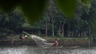 Nelayan menjaring ikan di Setu Cikaret, Cibinong, Kabupaten Bogor, Jawa Barat, Kamis (7/3). [Suara.com/Arief Hermawan P]