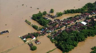 Petani Madiun Rugi Rp 7 Miliar karena Banjir Rendam 497 Hektare Sawah