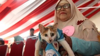 Sejumlah kucing tampil dalam peragaan busana di kantor DPP Partai Gerindra, Jakarta, Sabtu (9/3). [Suara.com/Arief Hermawan P]