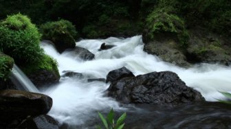 Bukan Cuma Sentra Batik, Pekalongan Juga Surga Wisata Alam