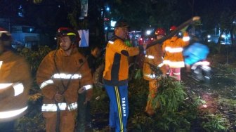 Pohon Tumbang di Depok Telan Korban Jiwa, Koki Restoran Tewas saat Memasak