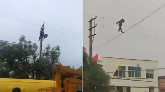 Lagi Mabuk Berat, Pria Ini Berjalan di Atas Kabel Listrik. Halu?
