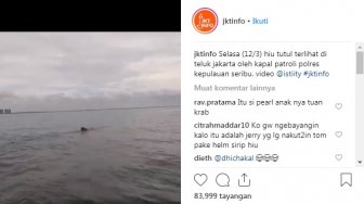 Hiu Tutul Muncul di Teluk Jakarta, Netizen Ketakutan Lihat Videonya