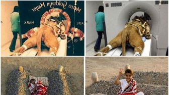 10 Foto Viral yang Sempat Dipercaya Netizen Itu Nyata, Padahal Cuma Hoax