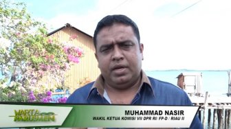 Mengintip Kekayaan Muhammad Nasir, Anggota DPR Maju di Pemilihan Gubernur Riau