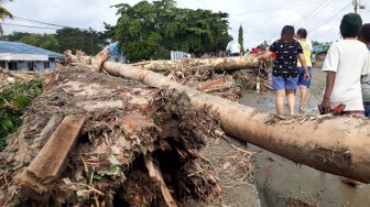 Pembalakan Liar Gunung Cykloop Diduga Jadi Penyebab Banjir Bandang Sentani