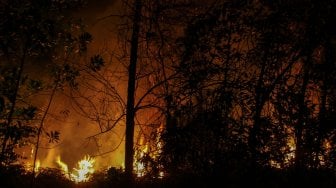 Api membakar semak belukar dan pepohonan pada kebakaran lahan di Pekanbaru, Riau, Senin (18/3) malam. [ANTARA FOTO/Rony Muharrman]