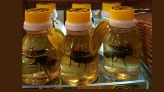 Ada Tawon Mati di Dalam Botol Madu Alami Ini, Buat Apa?