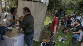 Dokter memberikan vaksin kepada seekor hewan piaraan saat kegiatan Pet Healthy Day di Pet Park Bandung, Jawa Barat, Minggu (24/3). ANTARA FOTO/Novrian Arbi