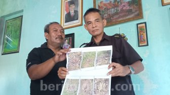 Tebang Pohon Jati dan Tanam Ketela, Warga di Kediri Dipolisikan LSM