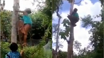 Aksi Nenek 'Captain Marvel' Memanjat Pohon Ini Mendadak Viral di MedSos