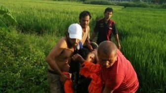 Kasih Makan Kambing, Dedi Tewas Disambar Petir, Selangkangan Gosong