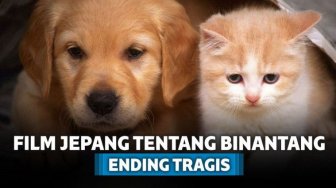 6 Film Jepang Tentang Binatang yang Endingnya Tragis 
