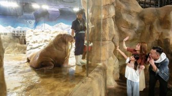 Ocean Park Hong Kong Kini Jadi Resor Favorit Berkonsep Edutainment