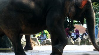 Libur Paskah, Warga Serbu Ragunan