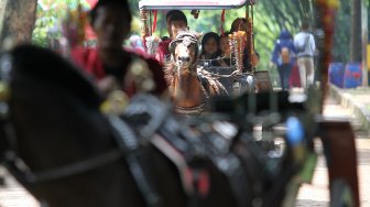 Warga memanfaatkan hari libur Paskah dengan mengunjungi lokasi wisata Kebun Binatang Ragunan di Jakarta, Jumat (19/2). [Suara.com/Arief Hermawan P]