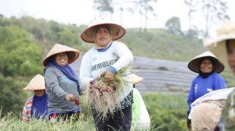 Hingga September 2019, Realisasi Asuransi Usaha Tani Padi Capai 60 Persen