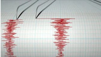 Gempa Magnitudo 2,1 SR Guncang Sorong