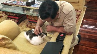 Prabowo Bicara dengan Nyamuk: Saya Lagi Rapat, Nyamuk Jangan di Sini ya....