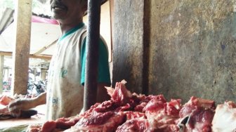 Ratusan Sapi Disiapkan untuk Tradisi Meugang, Makan Daging Jelang Ramadan