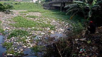 Situ Pengarengan yang dipenuhi sampah plastik dan gulma eceng gondok di Depok, Jawa Barat, Selasa (7/5). [Suara.com/Arief Hermawan P]