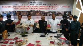 KLHK : Populasi Gajah di Indonesia Terancam Punah, Tinggal 2.000 Ekor