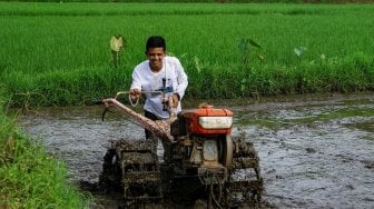 Para Petani di Lamongan Terima Klaim Asuransi Usaha Tani Padi