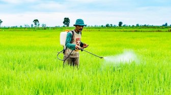 Kementan Ingatkan Petani untuk Awas terhadap Pestisida Palsu