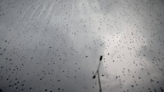 Prakiraan Cuaca BMKG Minggu 11 Oktober: Siang Kota Bogor dan Depok Hujan