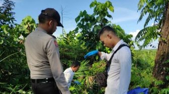 Sehabis Aniaya Ayahnya Pakai Dodos, Matedi Tewas Membusuk di Kebun Sawit