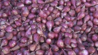 Jamin Keselamatan Pemudik, Dishub Lebak Bakal Uji Kelaikan 
