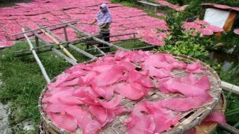 Pekerja menjemur kerupuk merah dan kerupuk mie mentah di kawasan Pasir Jambu, Karadenan, Kabupaten Bogor, Jawa Barat, Senin (13/5). [Suara.com/Arief Hermawan P]