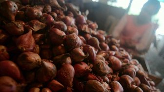 Pedagang merapihkan bawang merah di Pasar Induk Kramat Jati, Rabu (15/5). [Suara.com/Muhaimin A Untung]