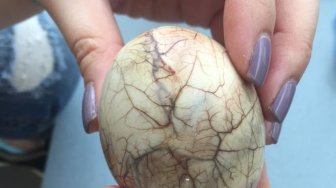 Cita Citata Santap Balut Kuliner Khas Filipina, Lihat Reaksinya