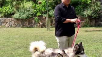 4 Pedoman Investasi Saat Jakarta Lagi Dilanda Demonstrasi