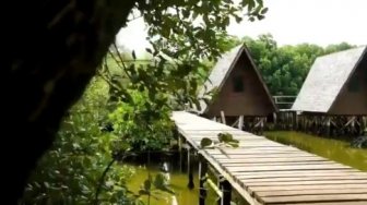 Twitwar Admin Pemprov DKI dan Pengelola Taman Mangrove, Video Ini Jadi Soal