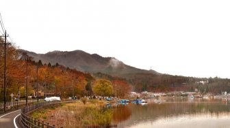 Cantik nan Permai, Menikmati 4 Destinasi Wisata Musim Gugur di Hakone