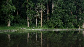 Wisatawan menikmati pemandangan Situ Gunung yang berada di Cisaat, Kabupaten Sukabumi, Jawa Barat, Sabtu (25/5). [Suara.com/Arief Hermawan P]
