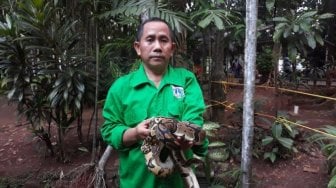Cerita Kusno Rela Lebaran dengan Satwa di Taman Margasatwa Ragunan