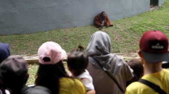 Tahun Baru Banjir, Pengunjung Ragunan Menurun Drastis