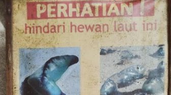Liburan di Pantai Selatan Yogyakarta, SAR : Waspadai Sengatan Ubur-ubur