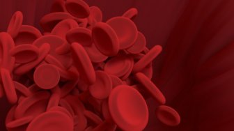 Serangan Virus di Pembuluh Darah Bisa Memicu Fase Kedua Covid-19 yang Fatal