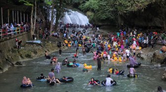 Flora Fauna Endemik di Kawasan Taman Nasional Bantimurung-Bulusaraung Dapat Perlindungan