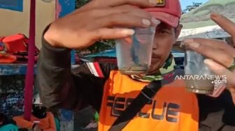 Mayoritas Anak SD, 92 Orang Diserang Ubur-ubur saat Berwisata di Sukabumi