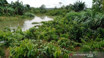 Alih Fungsi Rawa Untuk Perumahan Jadi Penyebab Banjir Samarinda