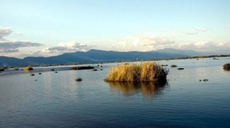 Fenomena Pulau Cincin yang Bergerak di Danau Loktak