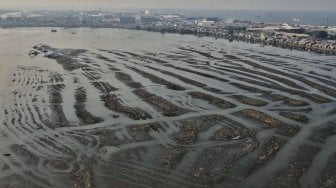 Ini Penampakan Waduk Pluit Alami Pendangkalan