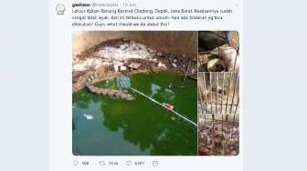 Ini Jawaban Kostrad Cilodong Soal Kondisi Mini Zoo yang Viral di Medsos