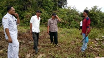 Kawanan Gajah Liar Diduga Rusak 15 Hektare Kebun Sawit Warga di Aceh Utara