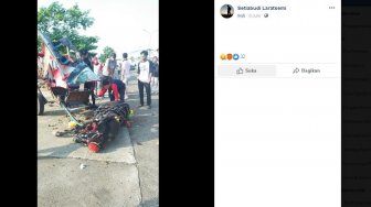 Viral Foto Kuda Tergeletak Lemas di Jalan, Begini Kata Pemiliknya